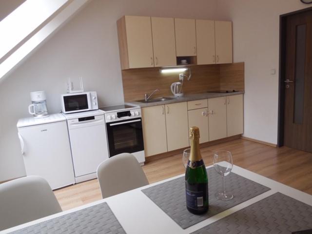 Apartman Kamenice Apartment Kamenice nad Lipou Luaran gambar